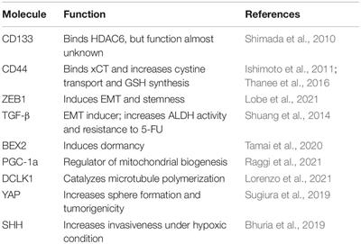 Cancer Stem Cells in Intrahepatic Cholangiocarcinoma; Their Molecular Basis, and Therapeutic Implications